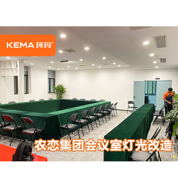 農(nóng)戀集團(tuán)會(huì)議室燈光改造，回字形會(huì)議室用什么燈？
